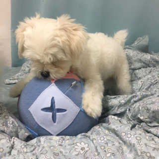 정꾸꾸님이 올린 리뷰 사진 2