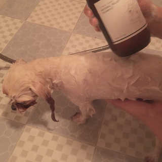 J일상님이 올린 리뷰 사진 3