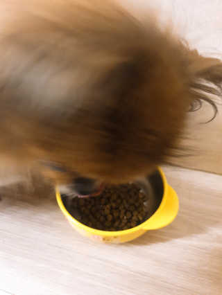 작은곰님이 올린 리뷰 사진 4