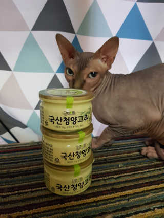 마뇨님이 올린 리뷰 사진 1