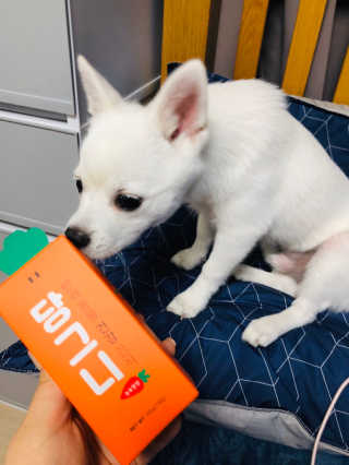 runa님이 올린 리뷰 사진 2