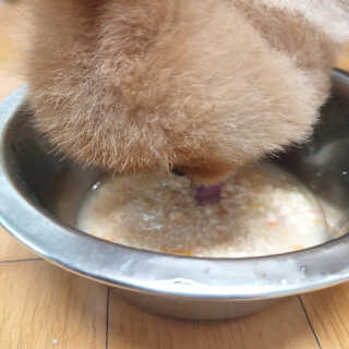 [펫토리아] 토로토로 하치  강아지 파우치간식 — 5점을 준 리뷰어가 2019년 7월 올린 사용 사진