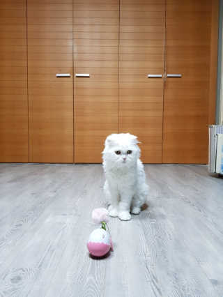 boggybok님이 올린 리뷰 사진 1