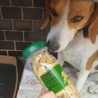beaglelove님이 올린 리뷰 사진 1