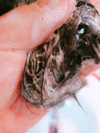 (주)에네스티 믹스베리 단백질 폭탄 샴푸 1000g — 5점을 준 리뷰어가 2019년 10월 올린 사용 사진