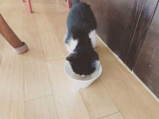 cola님이 올린 리뷰 사진 2