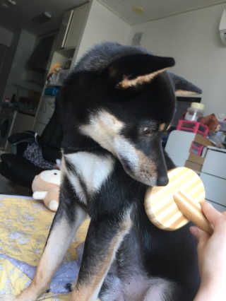 HeeraSong님이 올린 리뷰 사진 2