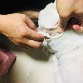 kkyung님이 올린 리뷰 사진 4