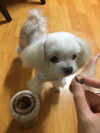 봄아이리온님이 올린 리뷰 사진 2