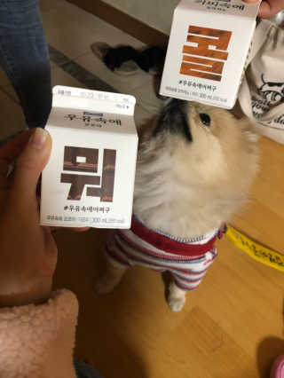 [매일유업] 우유속에 어쩌구_3개 세트 모바일 쿠폰 — 5점을 준 리뷰어가 2019년 10월 올린 사용 사진