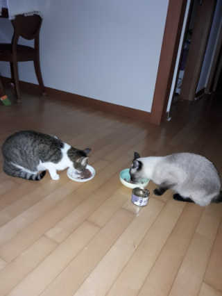 hihihisu님이 올린 리뷰 사진 1