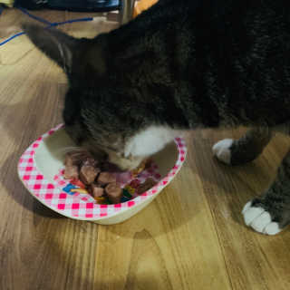Yampie님이 올린 리뷰 사진 4