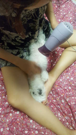 이다솜님이 올린 리뷰 사진 2