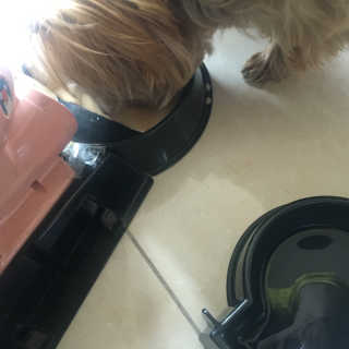 쉬미님이 올린 리뷰 사진 3