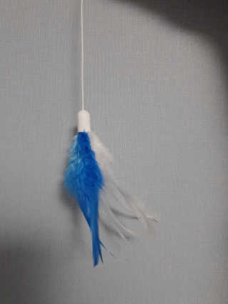 kay님이 올린 리뷰 사진 2