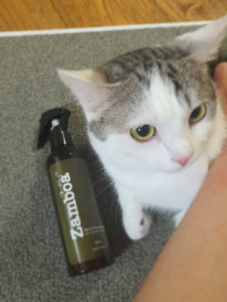 판타지스타님이 올린 리뷰 사진 1