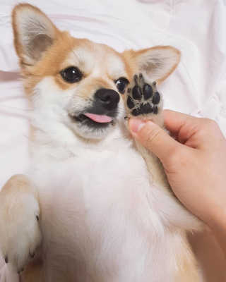dbubic님이 올린 리뷰 사진 1