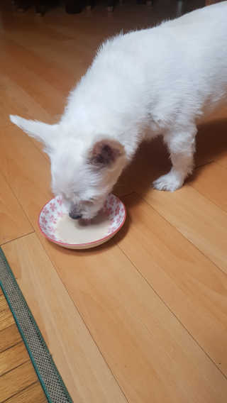 Ryaani.Kang님이 올린 리뷰 사진 3
