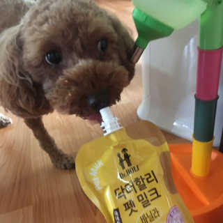 은치치님이 올린 리뷰 사진 1
