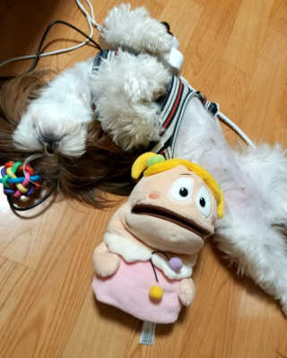 하나님이 올린 리뷰 사진 1