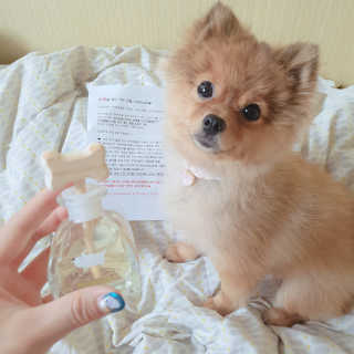은선이짱님이 올린 리뷰 사진 3