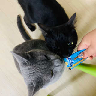 한비님이 올린 리뷰 사진 4