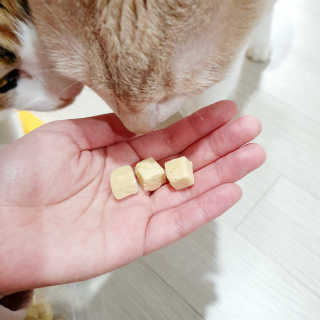 JENNY님이 올린 리뷰 사진 2