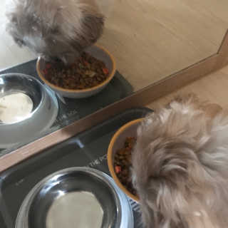 향이님이 올린 리뷰 사진 2