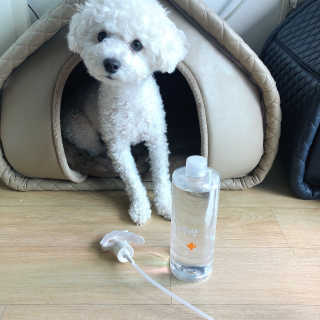 리뷰크러쉬님이 올린 리뷰 사진 3