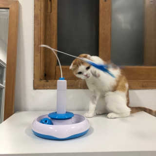 효정님이 올린 리뷰 사진 2