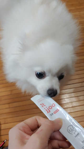 이누닷님이 올린 리뷰 사진 4