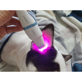 mini unni님이 올린 리뷰 사진 2