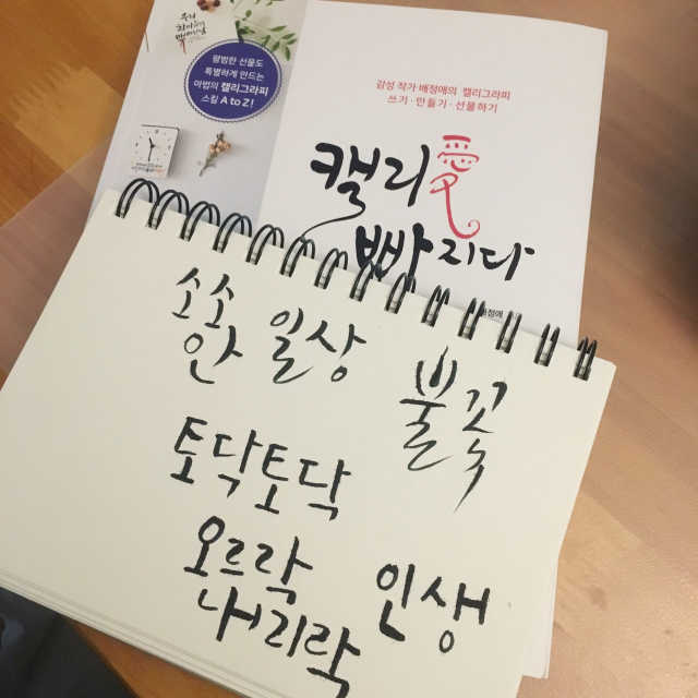 캘리애 빠지다 리뷰 사진