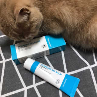 화죠미님이 올린 리뷰 사진 1