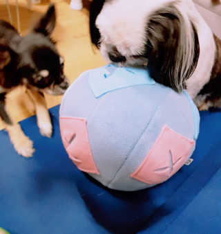heimish님이 올린 리뷰 사진 1