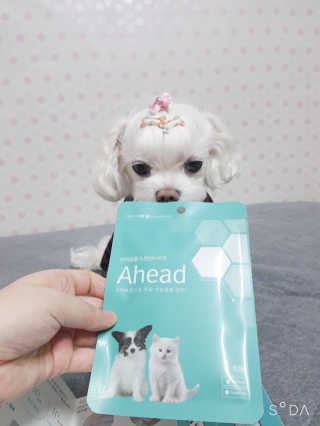 두부님이 올린 리뷰 사진 1