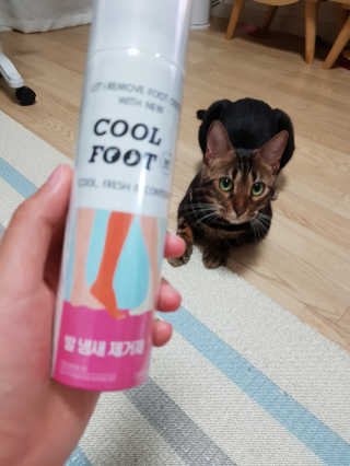 GyeongAeLee님이 올린 리뷰 사진 2