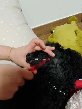 띠구님이 올린 리뷰 사진 4