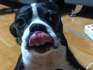 쥬녕님이 올린 리뷰 사진 4