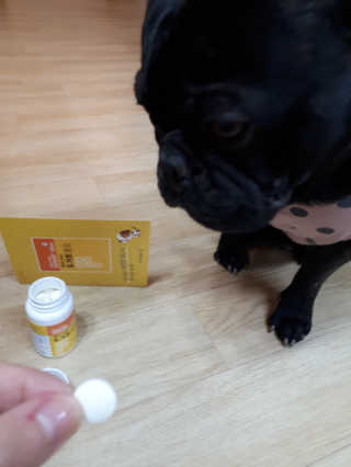 토르맘님이 올린 리뷰 사진 2