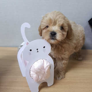 나린마마님이 올린 리뷰 사진 3