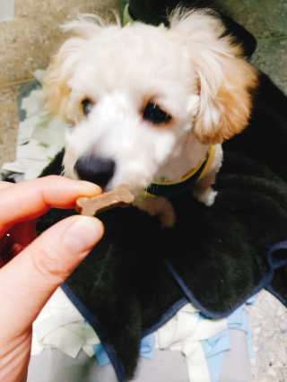 혜림님이 올린 리뷰 사진 4