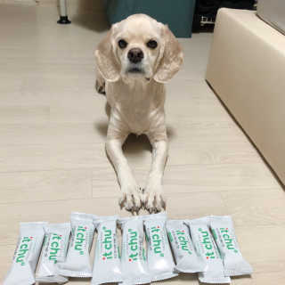 쏘옹님이 올린 리뷰 사진 2