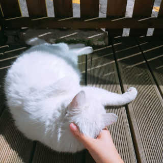 채하님이 올린 리뷰 사진 3