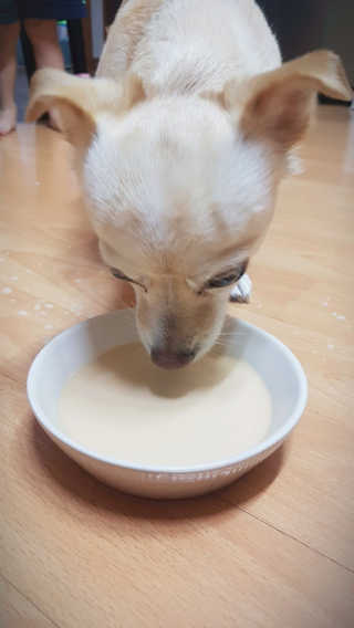 JulieEunYoungKim님이 올린 리뷰 사진 4