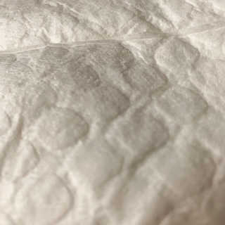 펫토리아 한장뚝딱 NEW 프리미엄 국내산 배변패드 — 4점을 준 리뷰어가 2019년 5월 올린 사용 사진
