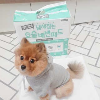 페츠모아 냄새잡는 요술배변패드 — 5점을 준 리뷰어가 2020년 3월 올린 사용 사진