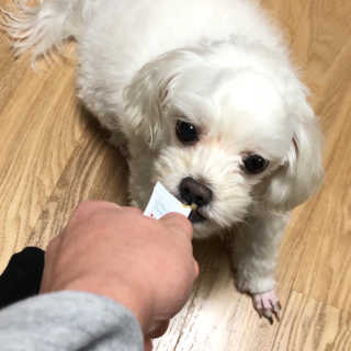 도미노님이 올린 리뷰 사진 2