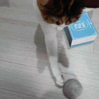 JENNY님이 올린 리뷰 사진 4