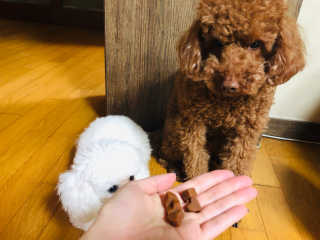 RiaJung님이 올린 리뷰 사진 2